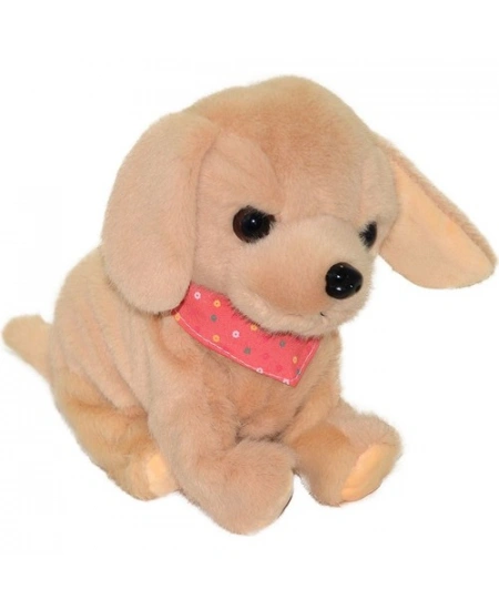 KÖPEK PİLLİ KUTULU