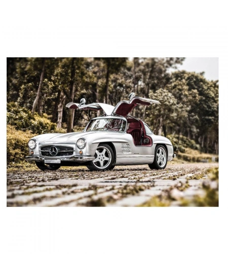 KS PUZZLE 1000 PRÇ 300 SL GULLWING (NET)