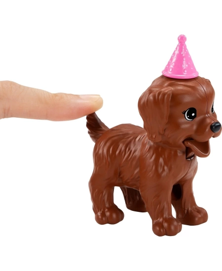 MTTL BRB VE KÖPEK PARTİSİ OYUN SETİ DHL