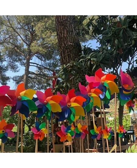 PLN 7 KANAT 18 CM RÜZGAR GÜLÜ