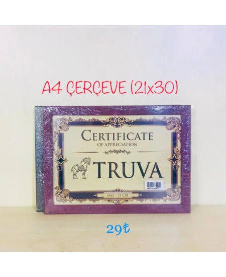 TRV ÇERÇEVE A4 22-C