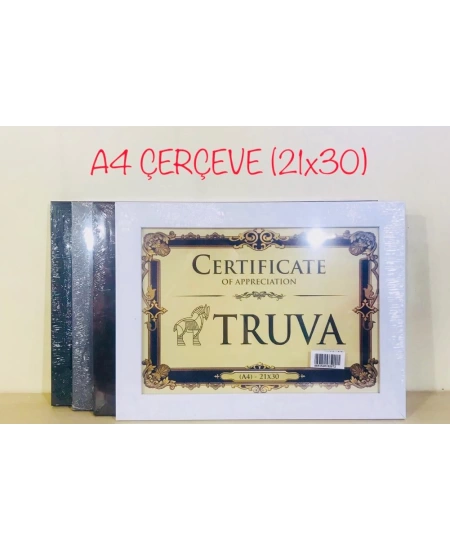 TRV ÇERÇEVE A4 30-C