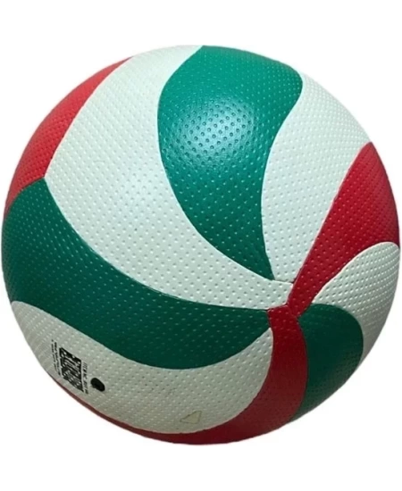 VOLEYBOL TOPU 301