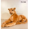 AKKZ ASLAN PELUŞ