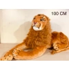 AKKZ PELUŞ ASLAN