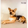 AKKZ PELUŞ KÖPEK