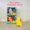 TAVUK PİLLİ IŞIKLI
