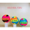 VOLEYBOL TOPU