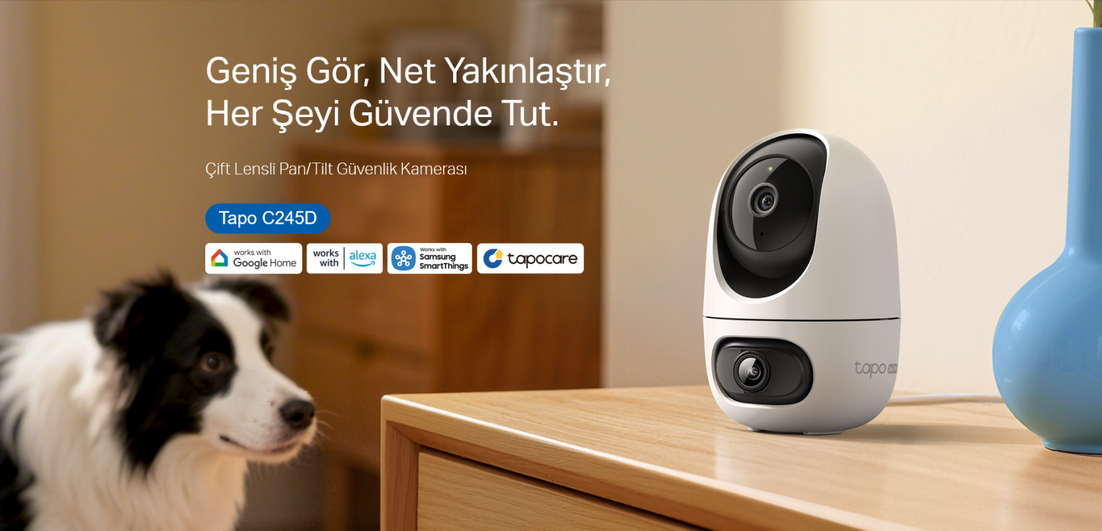 TAPO-C245D
