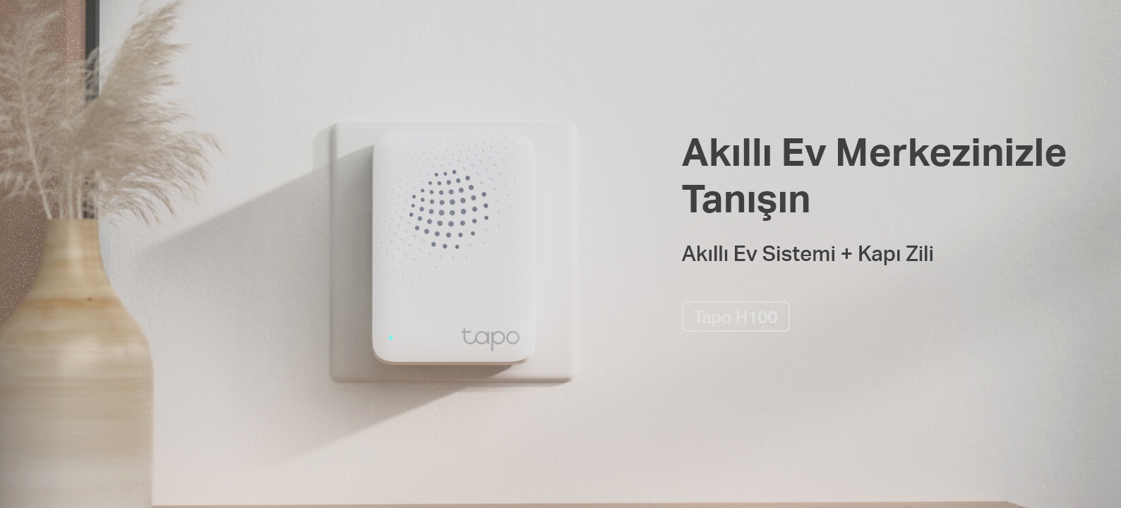 TAPO H100
