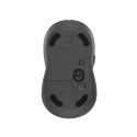 Logitech Signature M650 Grafit Kablosuz + Bluetooth Mouse
