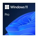 MICROSOFT WINDOWS 11 PRO 64BIT TURKCE OEM FQC-10556