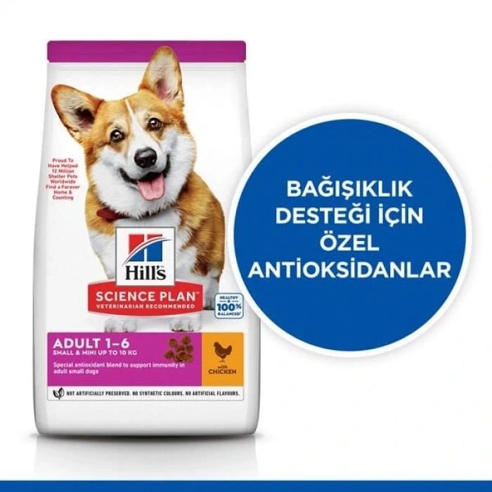 Hills Adult Small Mini Tavuklu Küçük Irk Köpek Maması 3 Kg