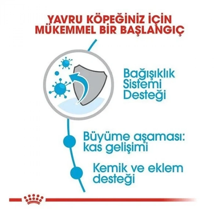 Royal Canin Giant Junior Dev Irk Yavru Köpek Maması 15 Kg