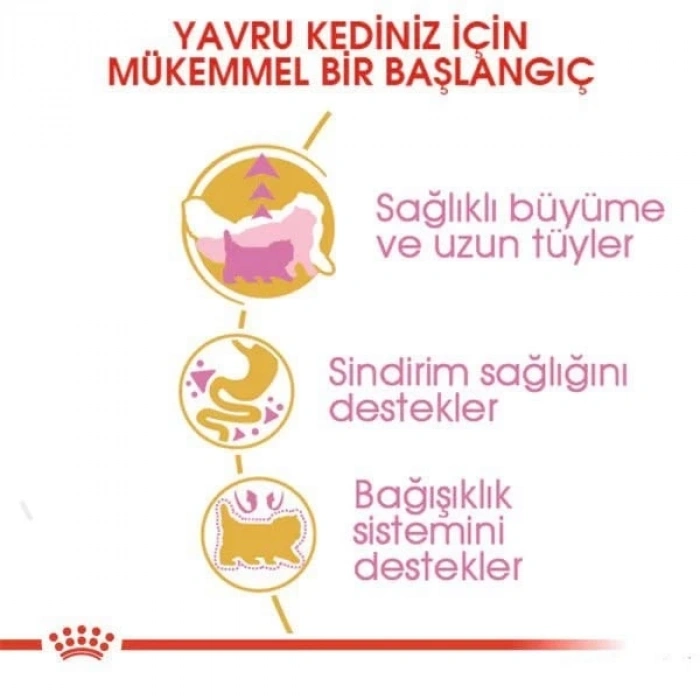 Royal Canin Persian Kitten Yavru İran Kedisi Maması 2 Kg
