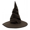 Harry Potter Seçmen Şapkası Yetişkin Boy