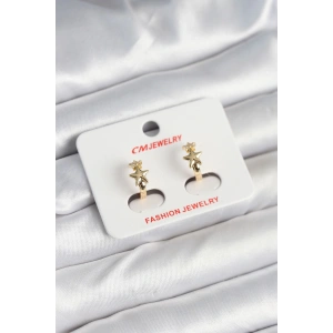 Pirinç Gold Renk Yıldız Kadın Küpe