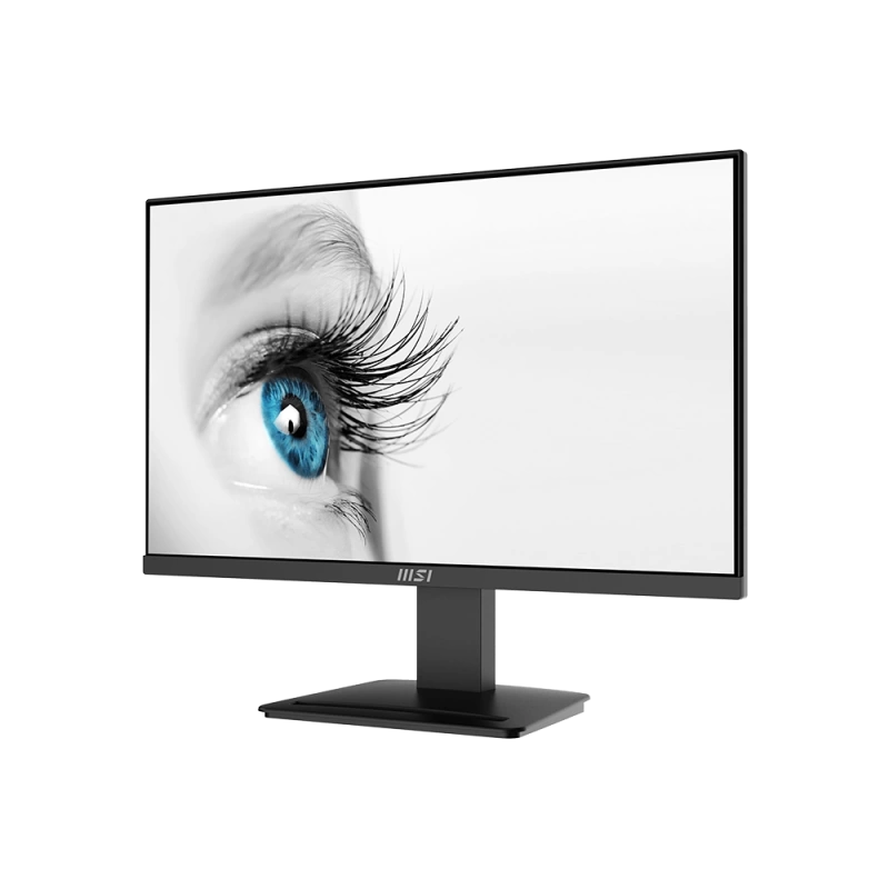 23.8 MSI PRO MP2412 FHD 1MS 100HZ FLAT VA