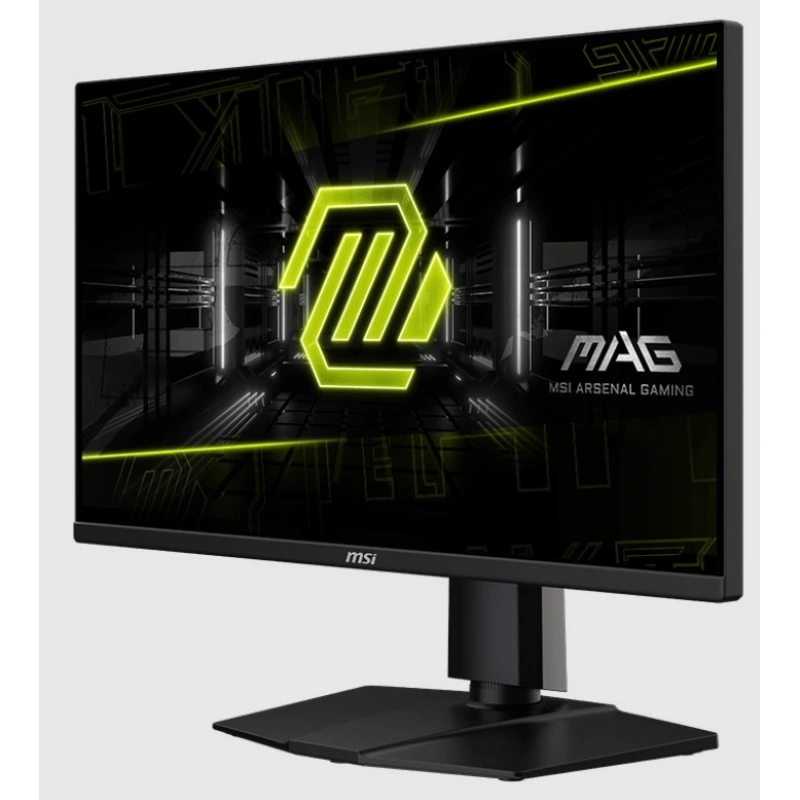 24.5 MSI MAG 255PXF 0.5MS 300HZ GTG FHD FLAT IPS