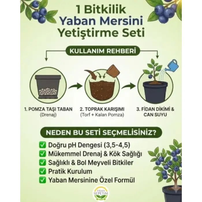 1 Bitkilik Yaban Mersini Yetiştirme Seti