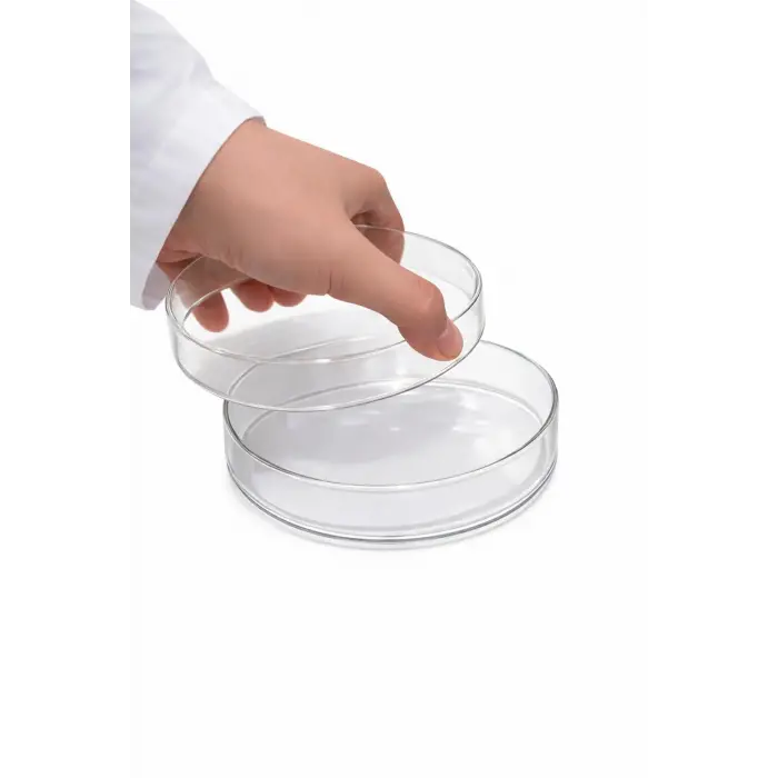 10 cm Cam Petri Kabı