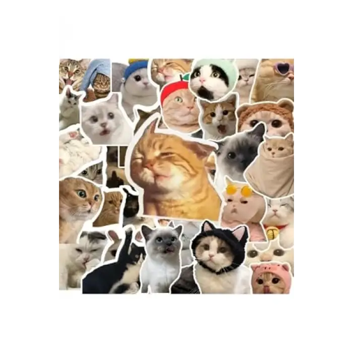 100Li Çılgın Kedi Sticker Set Laptop Notebook Tablet Sticker Seti