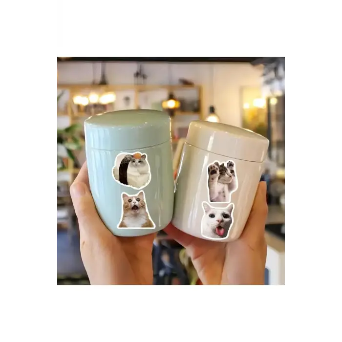 100Li Çılgın Kedi Sticker Set Laptop Notebook Tablet Sticker Seti