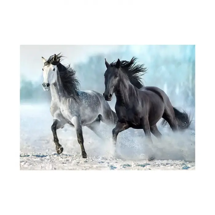 1000 Parça Puzzle, Horses (Atlar)
