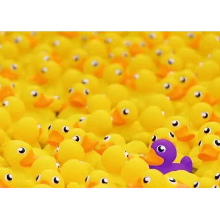 1000p Puzzle Plastik Ördekler