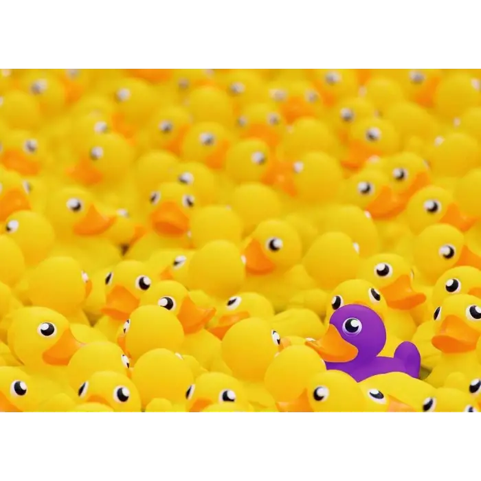 1000p Puzzle Plastik Ördekler