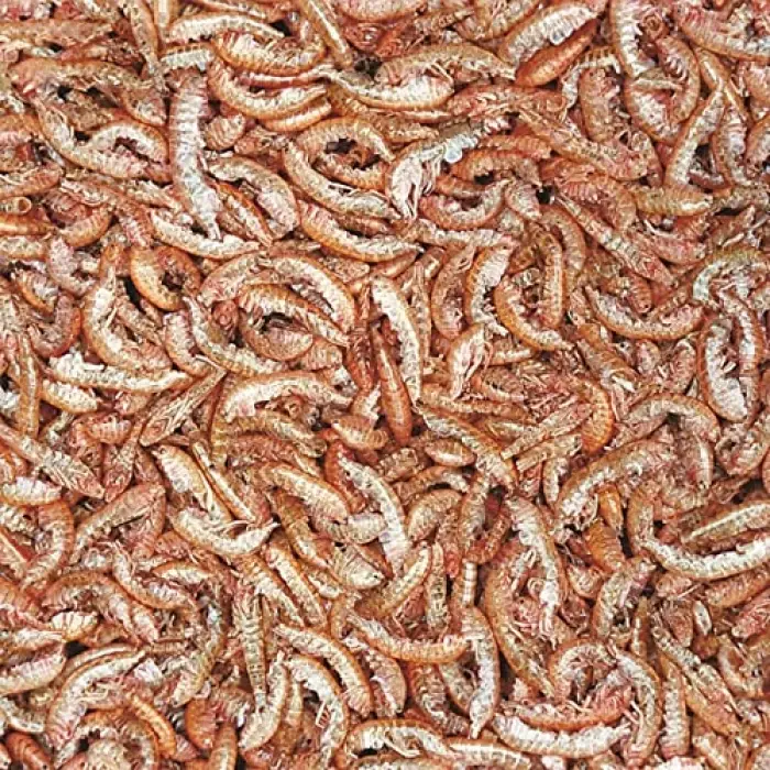 10323 Gammarus 100 Ml. 12 g.
