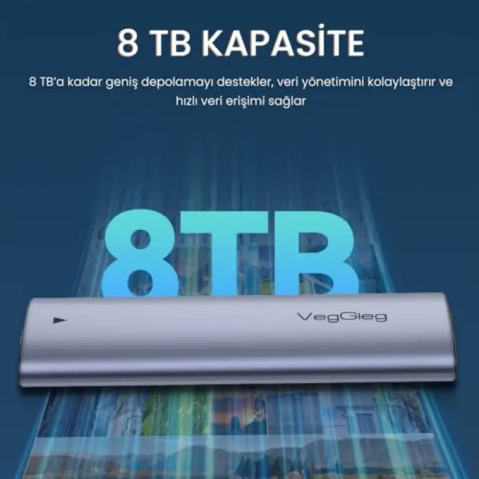 10Gbps USB 3.1 Gen2 M.2 Sata Ngff Nvme Ssd Disk Kutusu