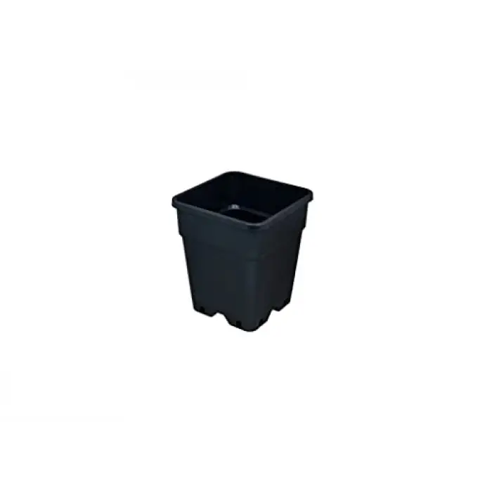 11 L Kare Saksı