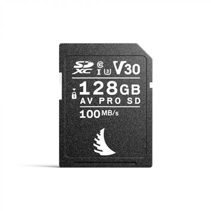 128 GB SD Bellek Kartı, V30