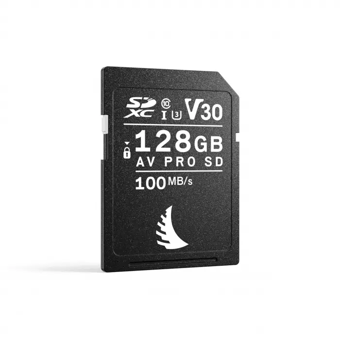128 GB SD Bellek Kartı, V30
