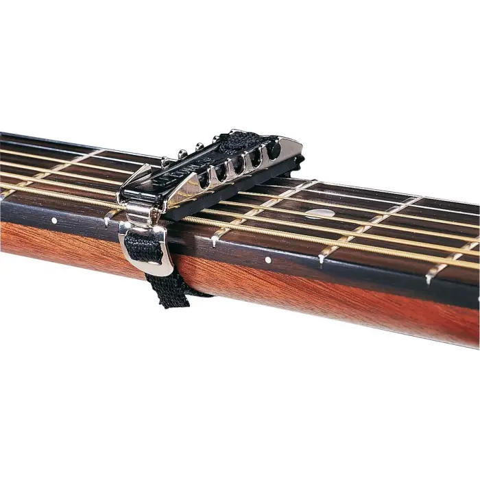 14C Professional Akustik Gitar Kaposu