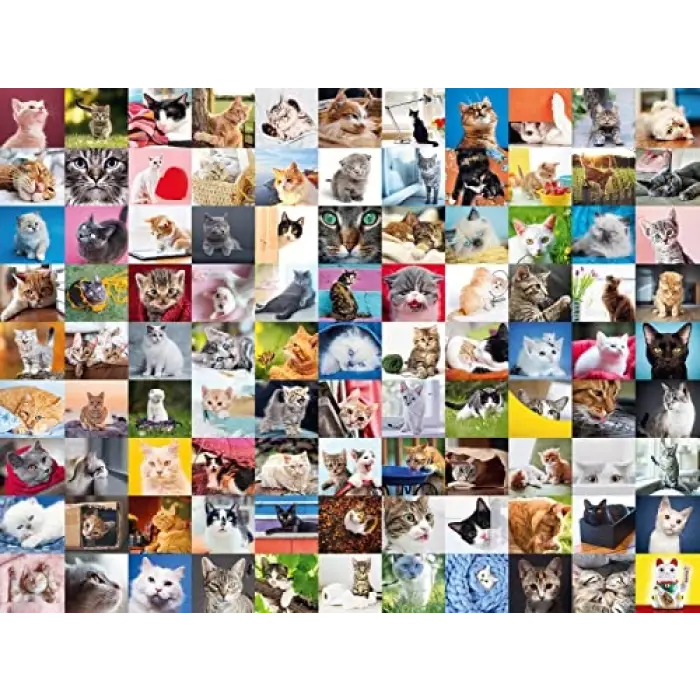 1500 Parça Puzzle 99 Kedi