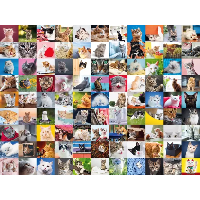 1500 Parça Puzzle 99 Kedi