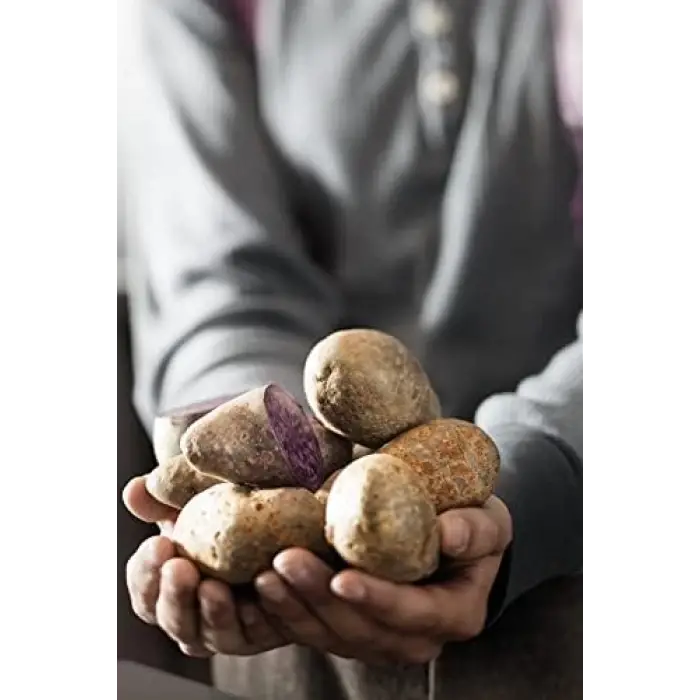 16285 Patates Presi