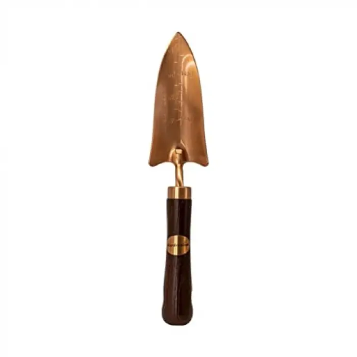 1803 Tulip Dar Kürek