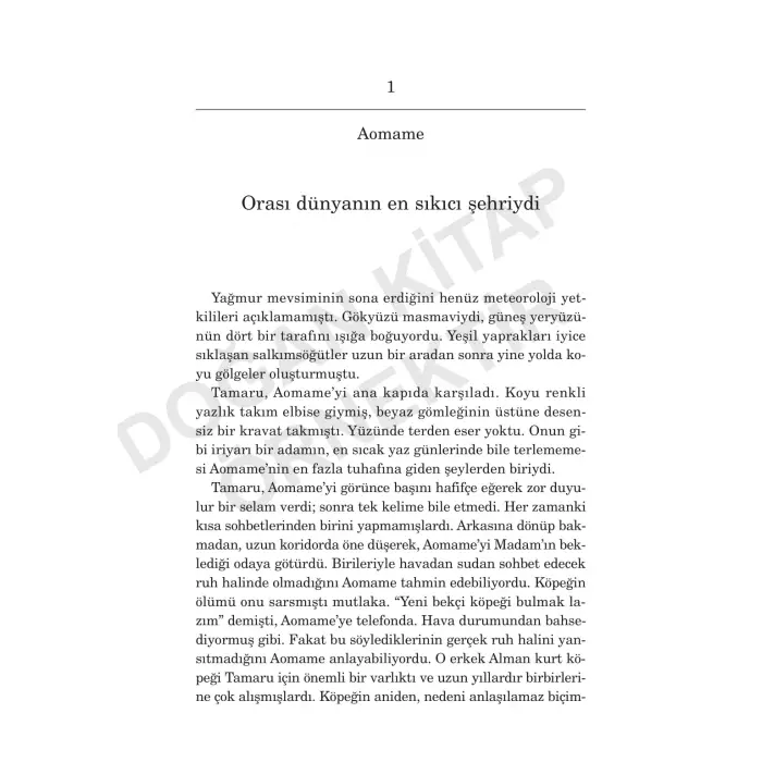 1Q84 - 2. Kitap