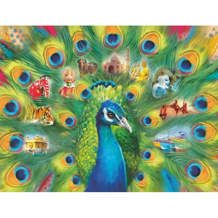 2000 Parça Tavus Kuşu Puzzle