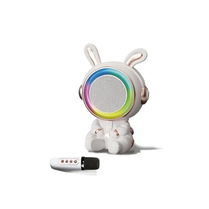 20W 2400 Mah Karaoke Mikrofonlu Bluetooth Hoparlör Bts-252