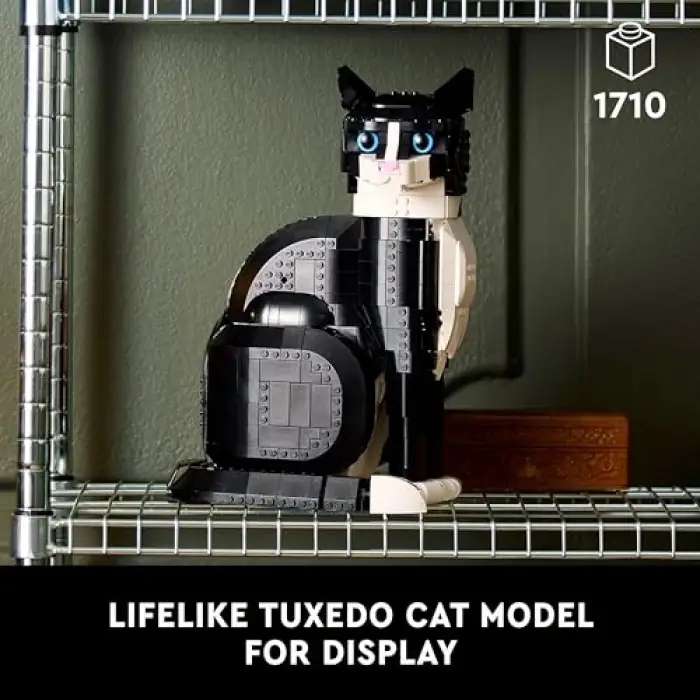 21349 Ideas Smokinli Kedi