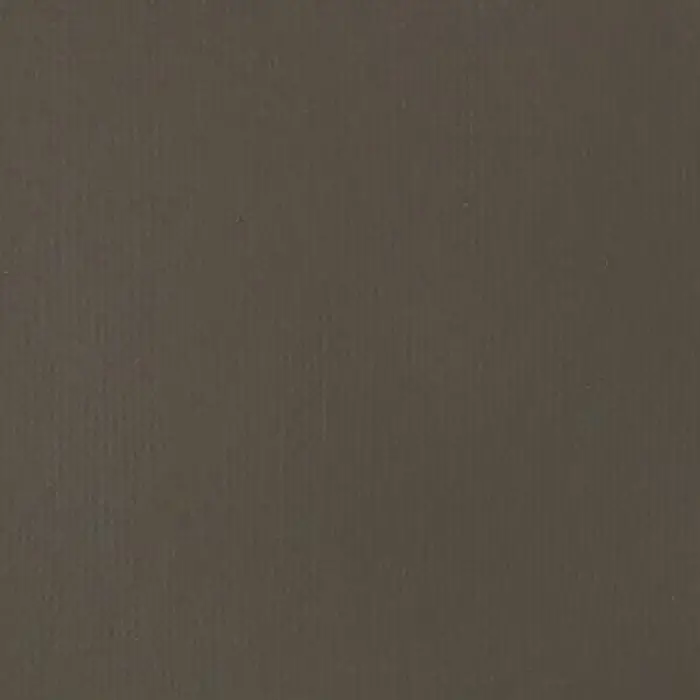 22 ml Raw Umber akrilik boya, Row 331