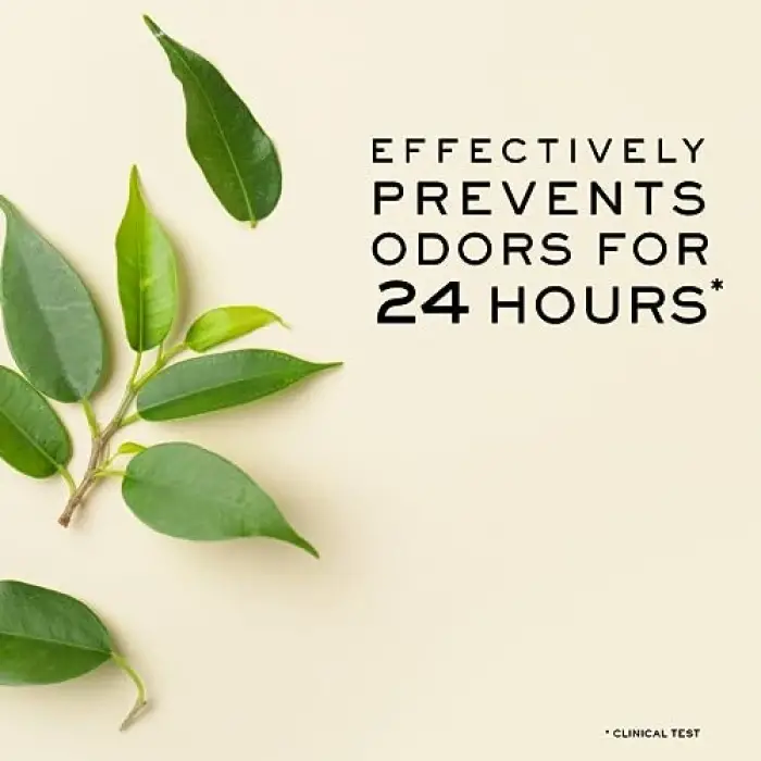 24h Deodorant 50 ml 212732