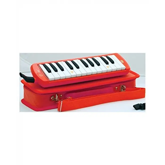 25 tuşlu çantalı melodika