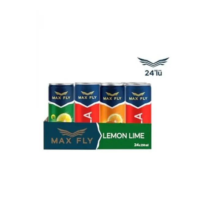 250 Ml Gazlı Içecek Karma 24 Adet