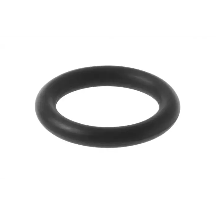 29296 O-Ring