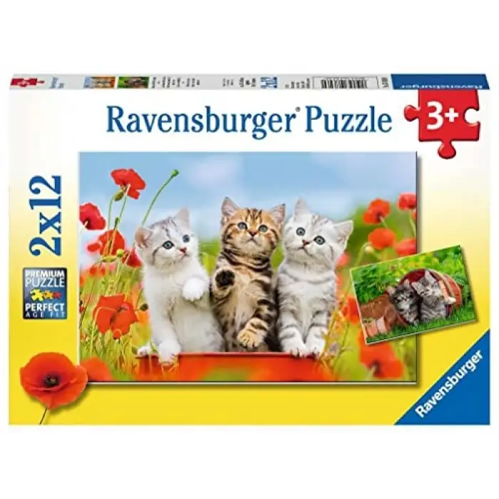 2x12p Puz Yavru Kediler